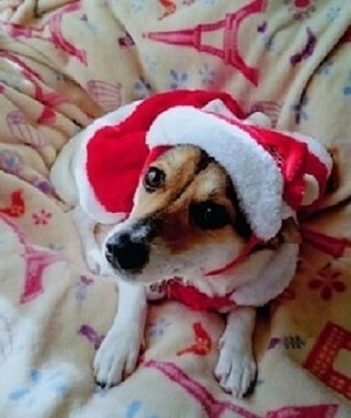 5クリスマス.jpg