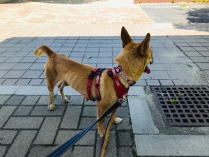 FCCAC7E5-553A-46BC-A4C7-2812ED24ECFF.jpeg
