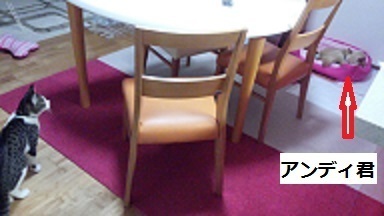 IMG_20160427_201353.jpg