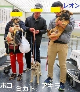 IMG_5173_NEW-thumbnail2_NEW.jpg