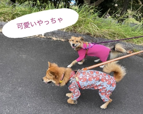 IMG_7959.jpeg