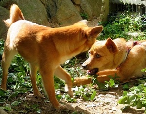 IMG_9255_NEW.jpg