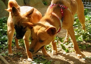 IMG_9256_NEW.jpg