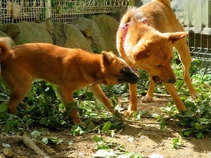 IMG_9258_NEW.jpg