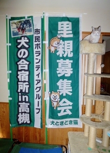 P1140611_NEW.jpg