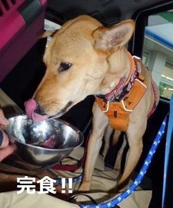P1150921_NEW.jpg