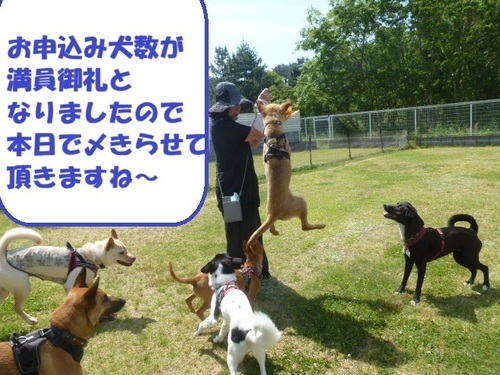 P2620092 - コピー.JPG