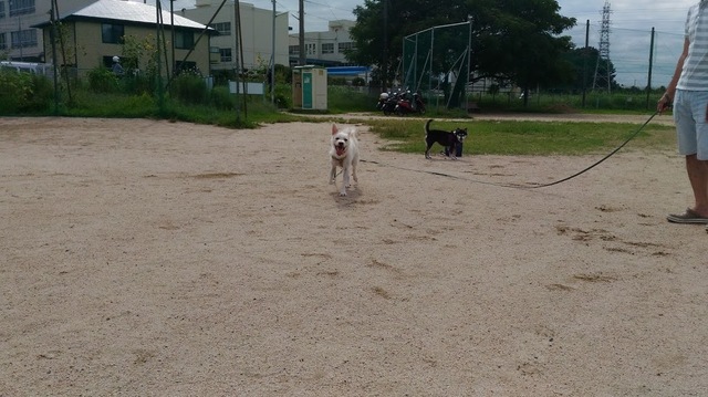 P_20160914_094447.jpg