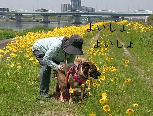 h5-10.jpg