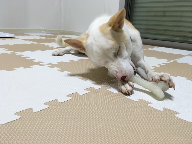 image-5f779.jpeg