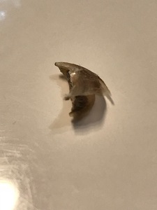 image2 - 2019-08-12T104620.561.jpeg