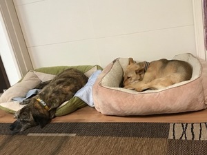 image4 (82).jpeg