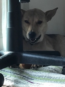 image5 (64).jpeg