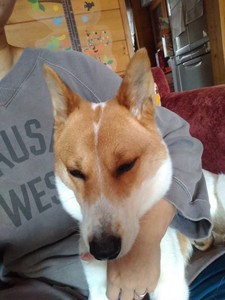 P_20170419_081429_BF.jpg