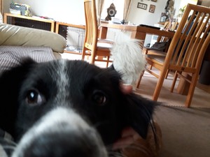 20170825_095002.jpg