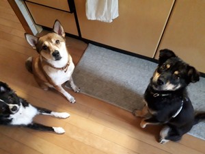 20170828_075007.jpg