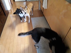 20170828_075127.jpg