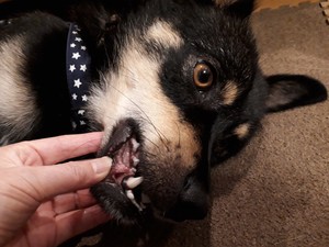 20170829_214531.jpg