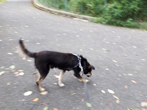 20170830_074141.jpg