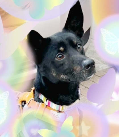 image13.jpeg