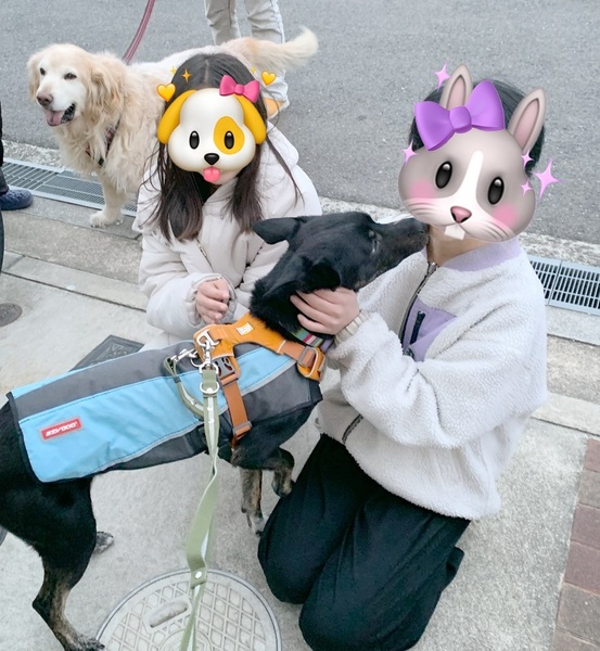 image7.jpeg