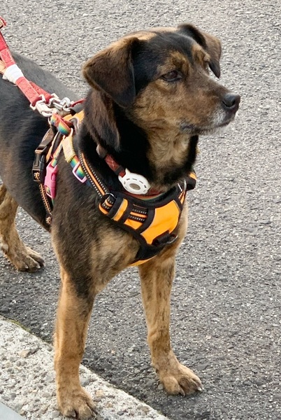image2.jpeg