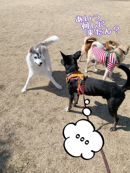 image9.jpeg