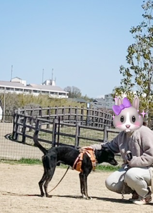 image1.jpeg