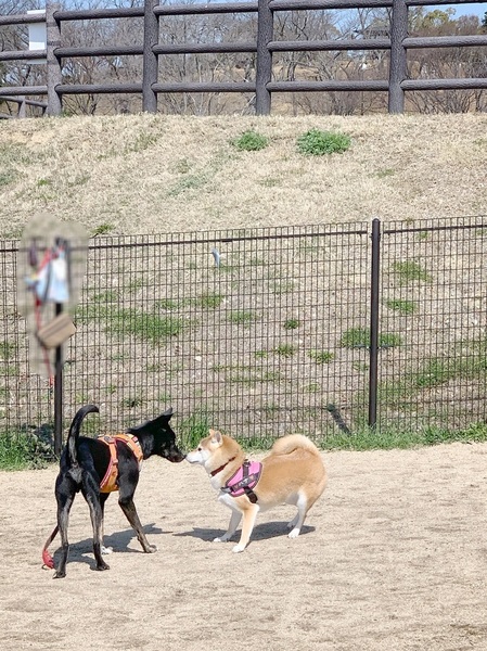 image2.jpeg