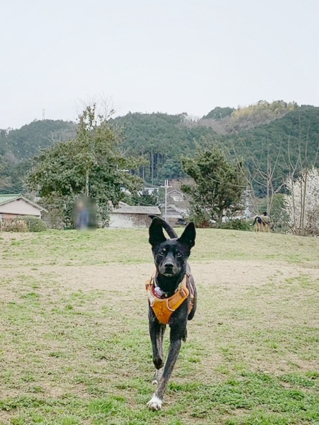 image4.jpeg