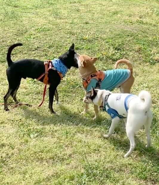 image5.jpeg
