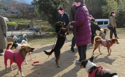 kao3.jpg