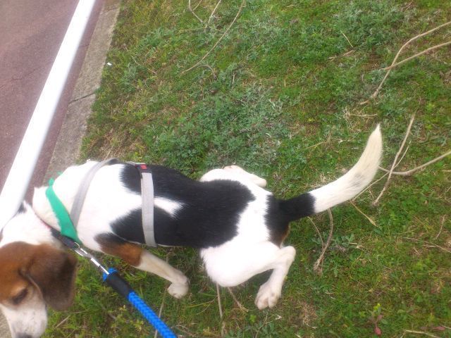 mini_160311_1406.jpg