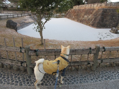 snow05.jpg